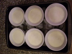 Panna cotta, pre-set, in ramekins