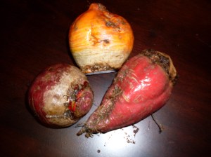 The one on the right was supposed to be magical, but it had the blight. I had to throw it out. 