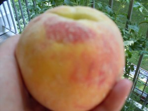 Smaller than is ideal but still fabulous.