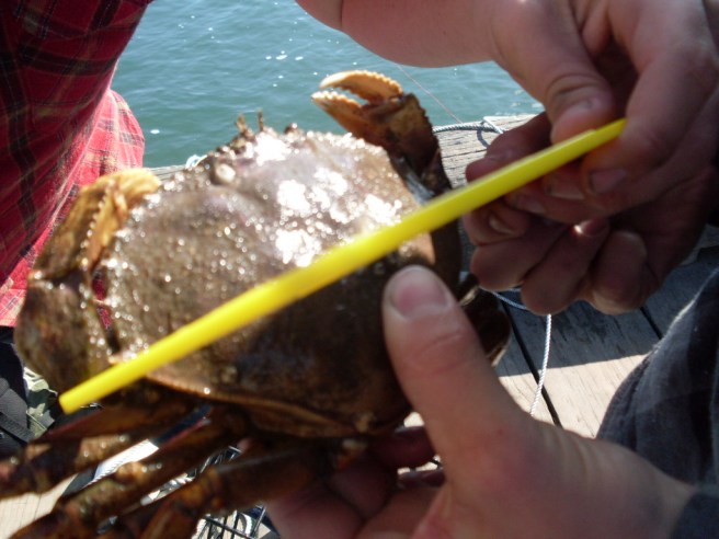 This one didn't measure up. This one didn't measure up.