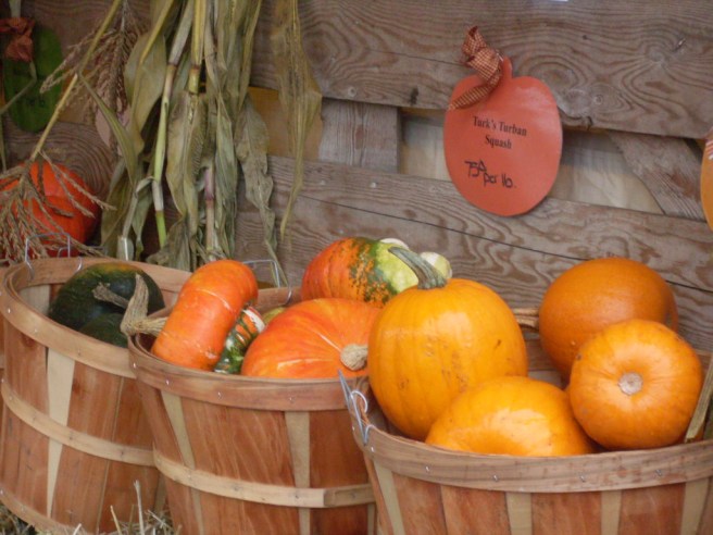 Pumpkins from a dry spot.