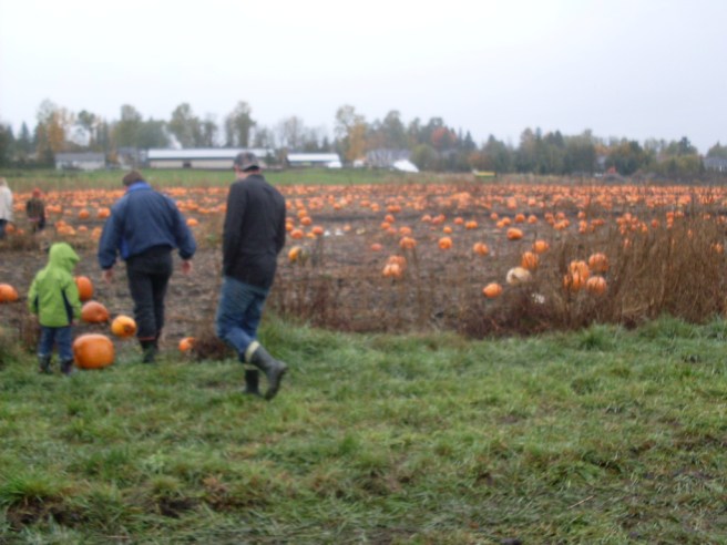 Nick, Dad, and Nephew.