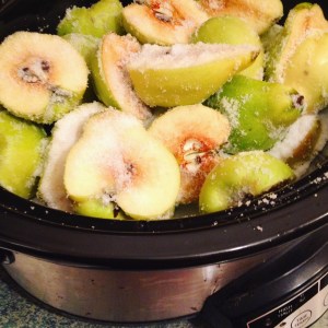 Quinces in crock pot
